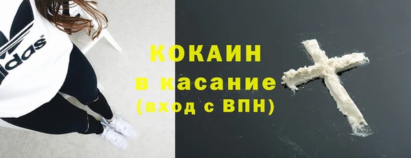 сатива Горнозаводск